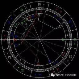 天涯深度八卦,那些不为人知的幕后故事