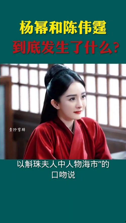 明星什么潼,揭秘明星潼的闪耀人生