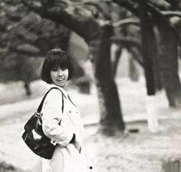 三毛 背影 写作背景